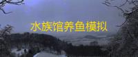 水族馆养鱼模拟